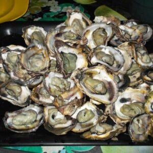 Steamed Talaba
